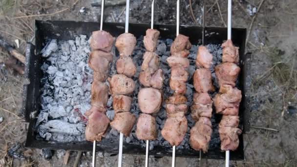 Kebabs em espetos são cozidos na grelha ao ar livre, Shashlik em um churrasco — Vídeo de Stock