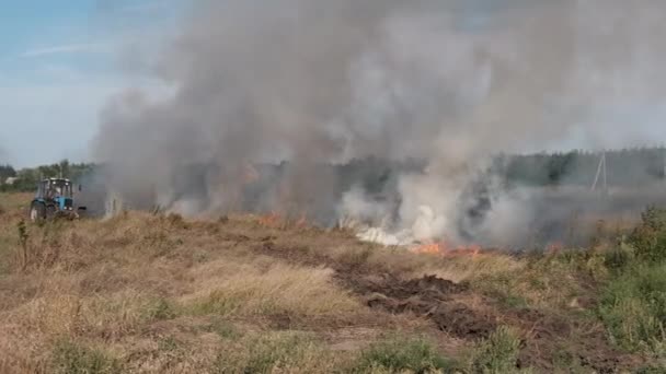 Fogo grama seca no campo perto da aldeia no verão, trator apagar o fogo — Vídeo de Stock