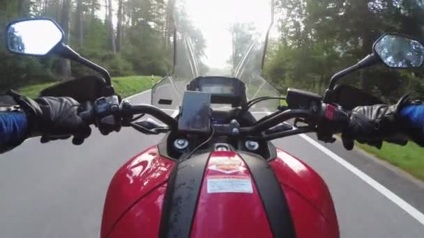 POV Biker Rides on Motorbike by Scenic Green Mountain Road, Alpy Szwajcarskie, Moto Trip — Wideo stockowe