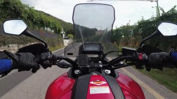 POV Biker Rider på en motorcykel mellan fält av vinodlingar i Italien, Countryside — Stockvideo