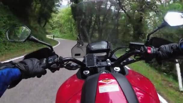 POV Biker Rides on a Motorbike by Forested Mountain Road in Italy — Stok Video