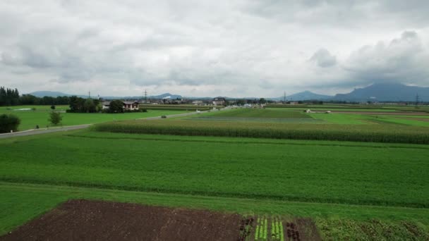 Luftaufnahme von grünen landwirtschaftlichen Feldern in Österreich in der Nähe der Berge in Wolken — Stockvideo