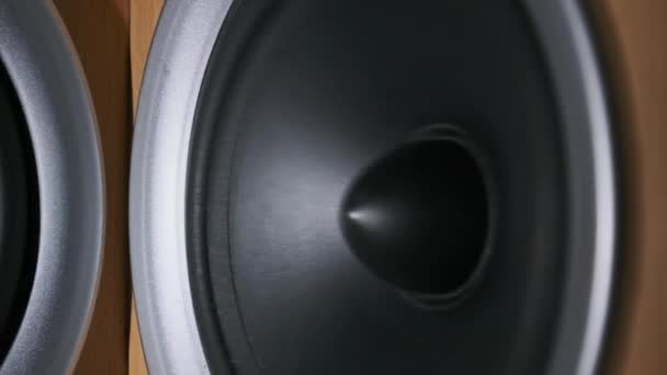 Dois alto-falantes de áudio vibrar de som baixo em câmera lenta, Estéreo, Close-up — Vídeo de Stock