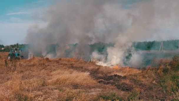 Hierba seca de fuego en el campo cerca de la aldea en verano, Wildfire of Dry Stubble — Vídeo de stock