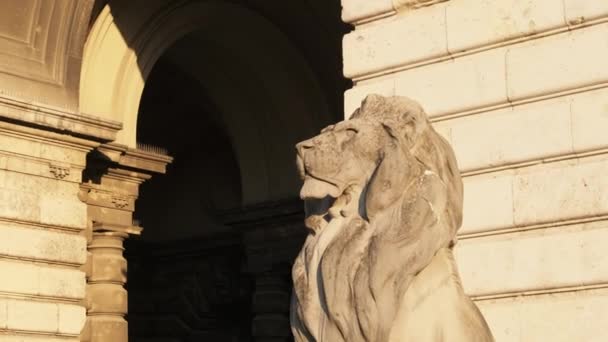 Lion Statues at the Facade of the Royal Palace in Budapest, Hungary. — Stock Video