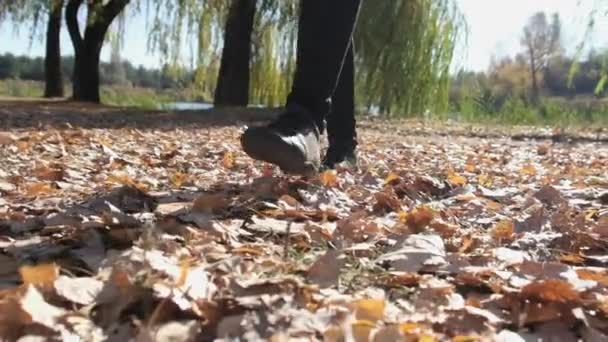 Weibliche Beine laufen in Zeitlupe auf fallenden Herbstblättern im Park — Stockvideo