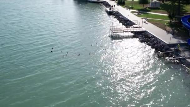 Luchtfoto van het Balatonmeer in Hongarije, Kust van Balatonfured, Zonnige dag — Stockvideo