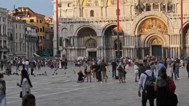 Multidão de pessoas caminhando na Piazza San Marco em Veneza, Itália, Vista Panorâmica — Vídeo de Stock