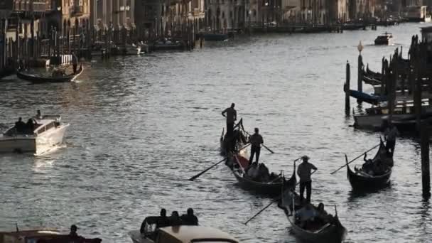 Wenecja Włochy Canal Grande, Widok z mostu Rialto, Szlaki transportowe — Wideo stockowe