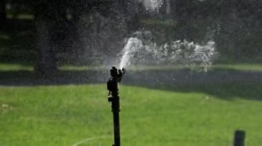 Yeşil Bahçede Otomatik Çim Fıskiyesi Yavaş Çekimde Sulama Çimeni