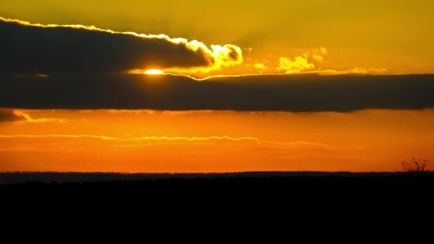 Timelapse Puesta de sol en el cielo, gran sol amarillo brillante se mueve hacia abajo en el horizonte — Vídeo de stock