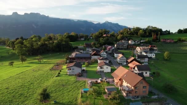 Luftaufnahme von Liechtenstein mit Häusern auf grünen Feldern im Alpental — Stockvideo