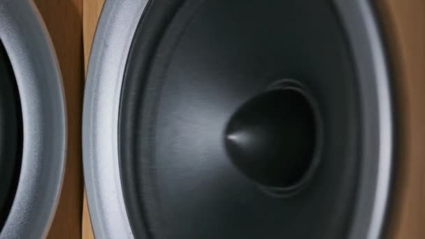 Zwei Audio-Lautsprecher vibrieren in Zeitlupe, Stereo, Nahaufnahme — Stockvideo