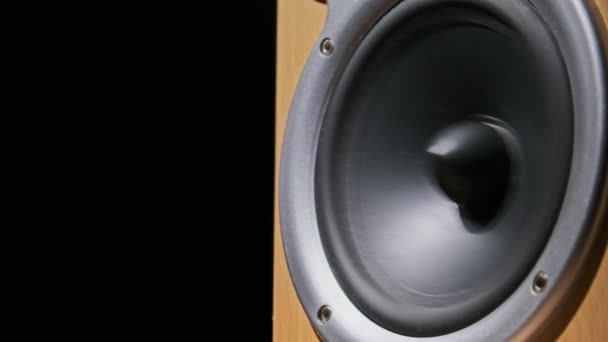 Altavoz de audio vibrar desde el bajo de sonido en cámara lenta, Primer plano — Vídeo de stock