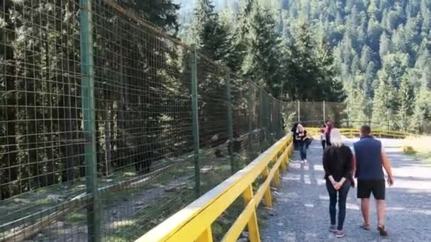 Mensen in het Brown Bear Rehabilitation Center, Toeristen observeren beren — Stockvideo