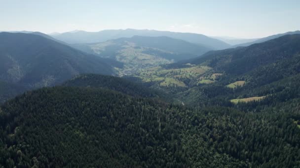 Vista aérea panorámica de las montañas Cárpatos con un denso bosque de pinos verdes — Vídeo de stock