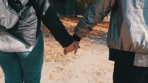 Két fiatal nő kéz a kézben sétálnak egy őszi parkban, lassú mozdulattal. — Stock videók