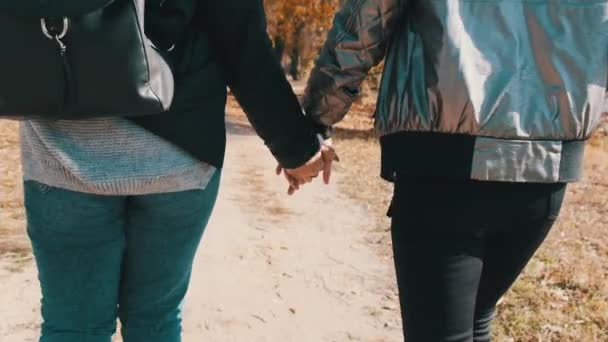 Zwei junge Frauen gehen Hand in Hand in einem Herbstpark, Zeitlupe — Stockvideo