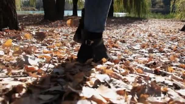 Piernas femeninas caminando sobre hojas caídas de otoño en el parque en cámara lenta — Vídeo de stock