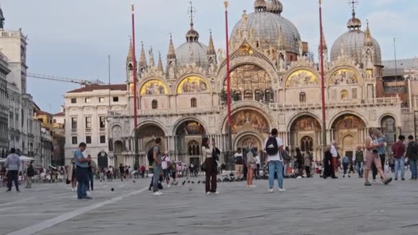 Folkmassa Promenader i Piazza San Marco i Venedig, Italien, panoramautsikt — Stockvideo