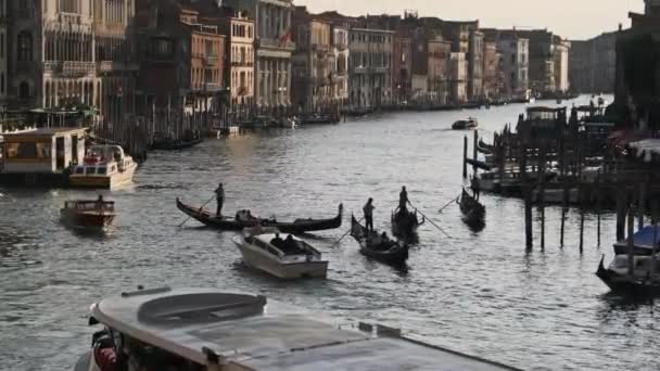 Venice Italy Grand Canal, View from the Rialto Bridge, Transport Routes — Stock Video