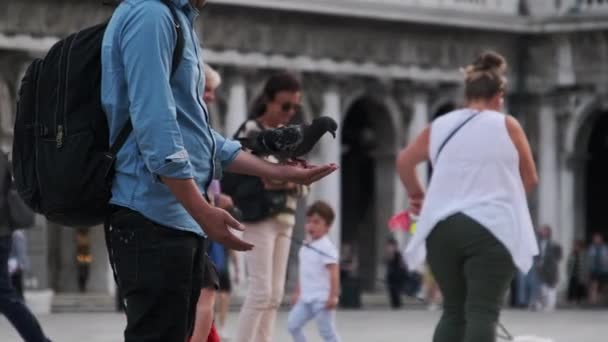 Lots of Pigeons in Slow Motion on Piazza San Marco, Crowd of People Feeds Doves — Stock Video