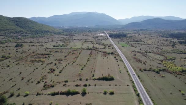 Pusta droga asfaltowa na płaskowyżu między polami zielonymi, widok z lotu ptaka — Wideo stockowe