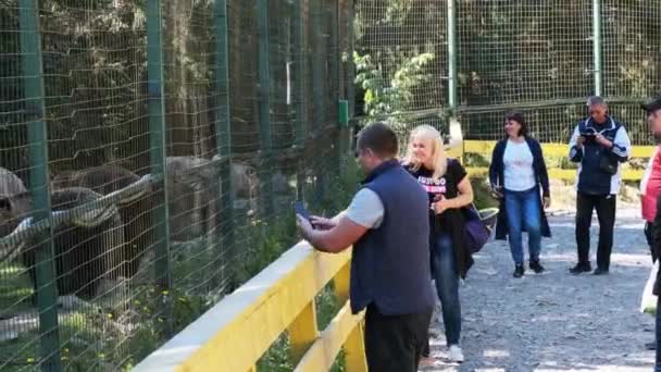 Les gens du Centre de réadaptation de l'ours brun, les touristes observent les ours — Video