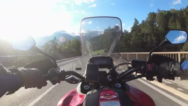 POV Biker Rides a Motorcycle on a Scenic Sunny Mountain Road, Austria — Wideo stockowe