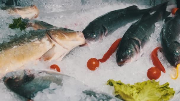 Un montón de pescado fresco de la lubina se encuentra en el hielo en un escaparate de supermercado, mariscos congelados — Vídeo de stock