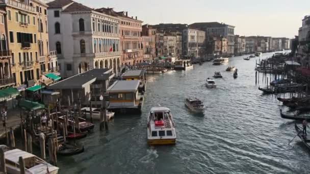 Venezia Canal Grande, Veduta dal Ponte di Rialto, Itinerari di trasporto — Video Stock