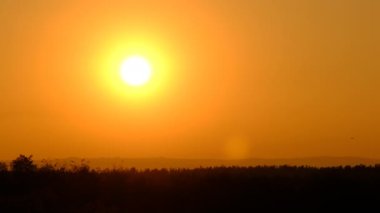 Horizon 'un üzerinde gün batımı, Büyük Parlak Sarı Güneş Orman' ın yukarısında