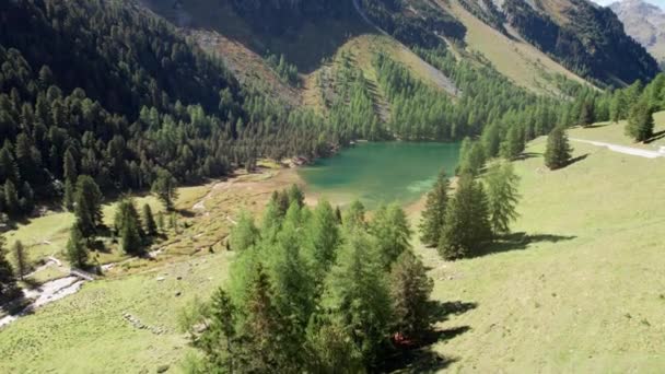 瑞士阿尔卑斯山阿尔卑斯山区高山帕尔波尼亚湖的空中观景山谷 — 图库视频影像