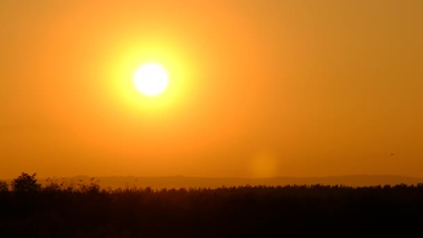 Sonnenuntergang am Himmel über Horizont, große leuchtend gelbe Sonne wandert hinunter über den Wald — Stockvideo