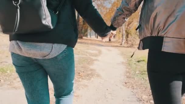 Dos mujeres jóvenes caminan entre sí a mano en un parque de otoño, en cámara lenta — Vídeos de Stock