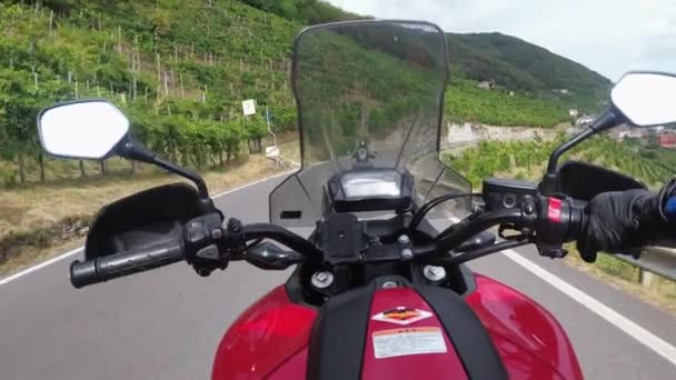 POV Motociclista passeios em uma moto entre os campos de vinhedos na Itália, Campo — Vídeo de Stock