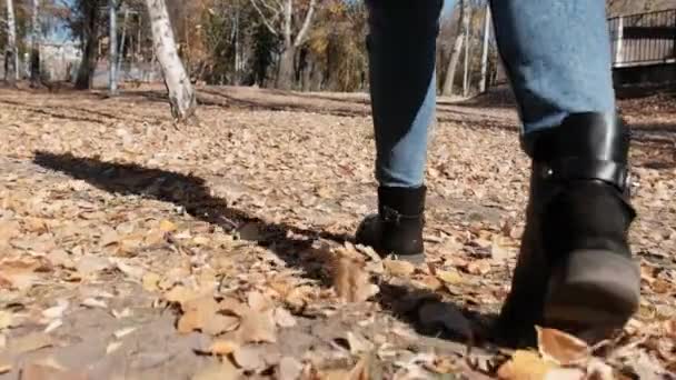 Pernas femininas andando em folhas de outono caídas no parque em câmera lenta — Vídeo de Stock