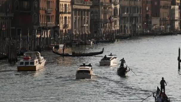 Venecia Italia Gran Canal, Vista desde el Puente de Rialto, Rutas de transporte — Vídeo de stock