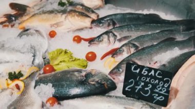 Birçok Taze Deniz Balığı Buz Üstünde Yatar Süpermarket Vitrininde, Donmuş Deniz Ürünleri