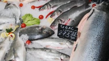 Birçok Taze Deniz Balığı Buz Üstünde Yatar Süpermarket Vitrininde, Donmuş Deniz Ürünleri