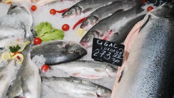 Un sacco di mare fresco Bass Fish Lies on Ice in una vetrina supermercato, Frutti di mare congelati — Video Stock