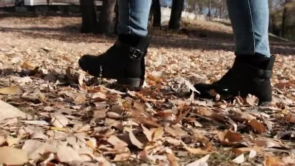 Piernas femeninas caminando sobre hojas caídas de otoño en el parque en cámara lenta — Vídeo de stock