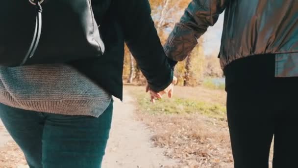 Dwie młode kobiety chodzą ze sobą ręcznie w jesiennym parku, Slow Motion — Wideo stockowe
