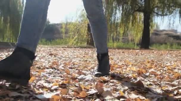 Női lábak Sétálnak az őszi lehullott leveleken a parkban lassított mozgásban — Stock videók