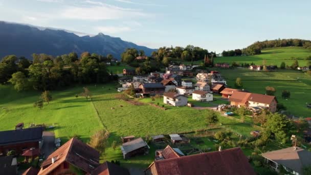 Widok z lotu ptaka na Liechtenstein z domami na zielonych polach w Alpach Mountain Valley — Wideo stockowe