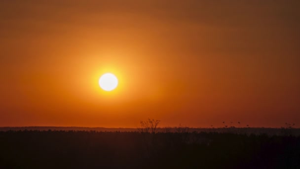 Timelapse Ηλιοβασίλεμα στον ουρανό, μεγάλο φωτεινό κίτρινο ήλιο κινείται προς τα κάτω στο Horizon — Αρχείο Βίντεο