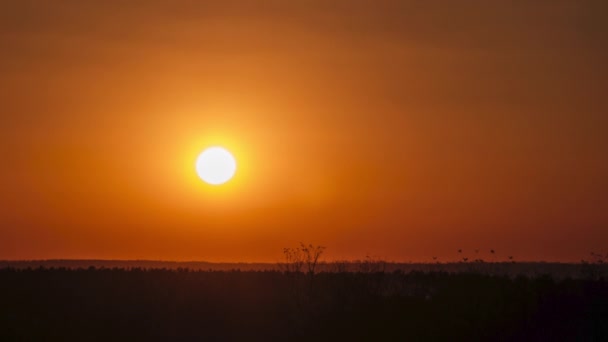 Timelapse Puesta de sol en el cielo, gran sol amarillo brillante se mueve hacia abajo en el horizonte — Vídeos de Stock