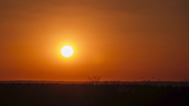 Pôr do sol no céu, grande sol amarelo brilhante se move para baixo no horizonte — Vídeo de Stock