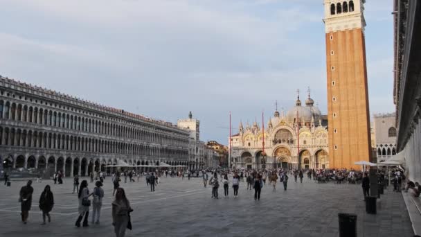 Folkmassa Promenader i Piazza San Marco i Venedig, Italien, panoramautsikt — Stockvideo