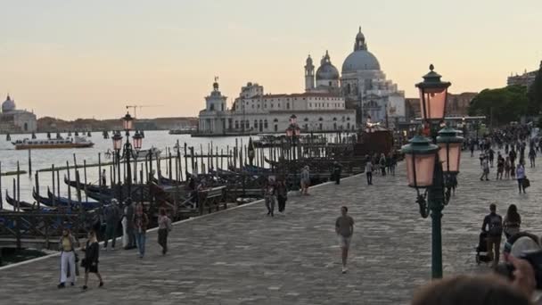 Affollato argine di Venezia con una folla di persone che camminano al tramonto — Video Stock